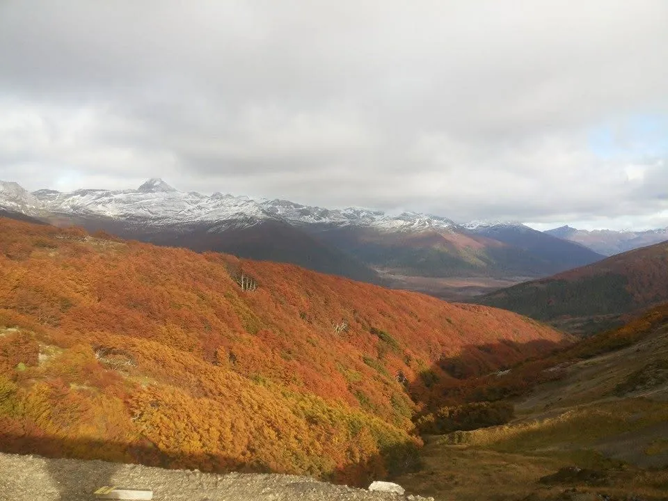 Bosques de lenga y cordillera en Tierra del Fuego