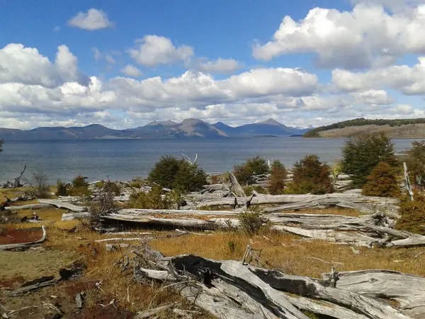 Paisaje de Lago Blanco Tierra del Fuego
