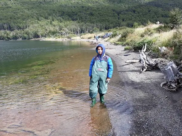 Orilla de lago con bosque de lengas